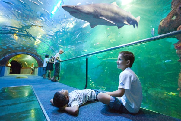Aquarium Donostia