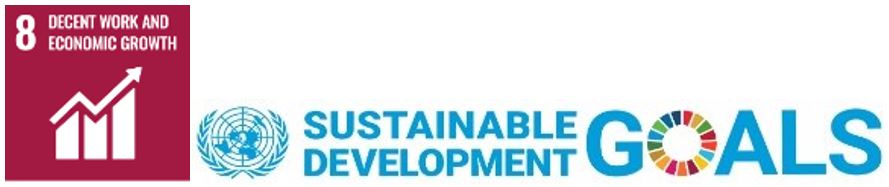 Goal 8 of the 2030 Agenda for Sustainable Development Goals: "Decent work and economic growth